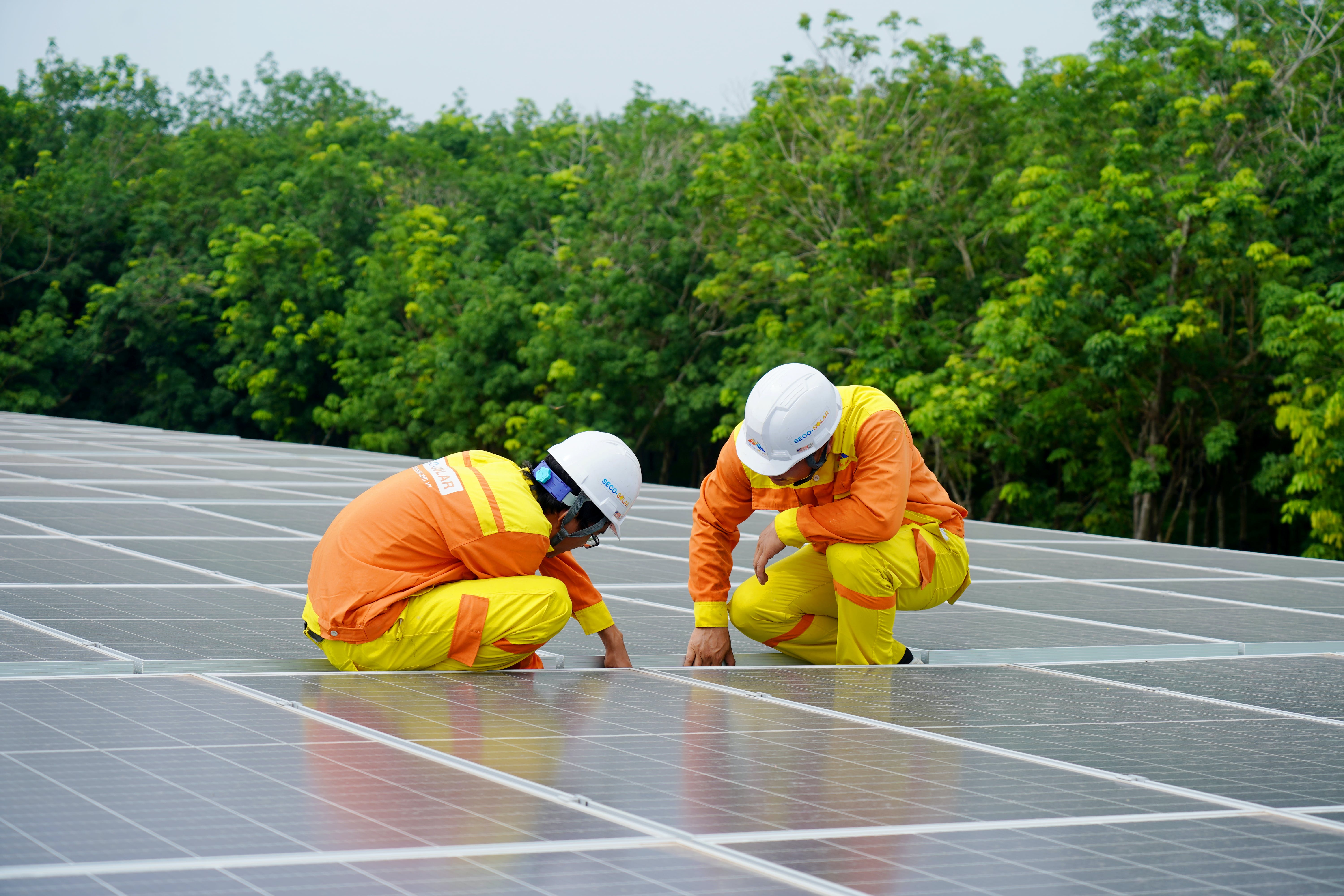 People Installing Solar Panels at Lee Abbey - Hopeswood
