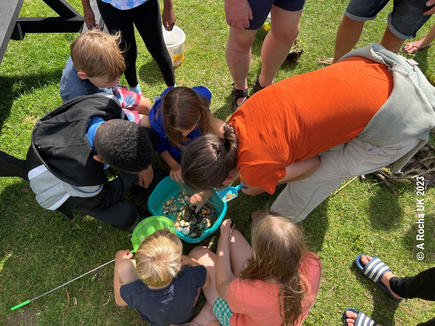 Group of children making a mini-pond