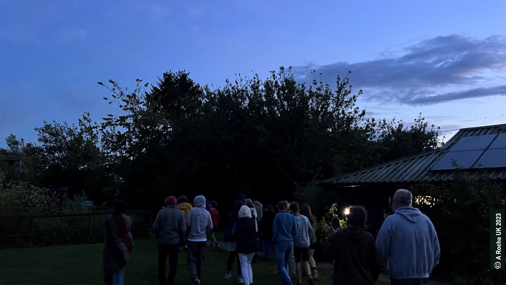 Group going on a night bat walk